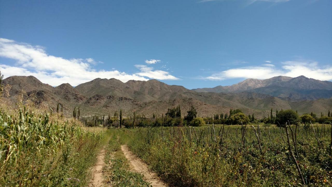 شقة Casa De Haydee Cachí المظهر الخارجي الصورة